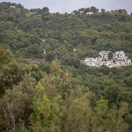 Pilio Sea Horizon Hotel Tsagkarada Dış mekan fotoğraf