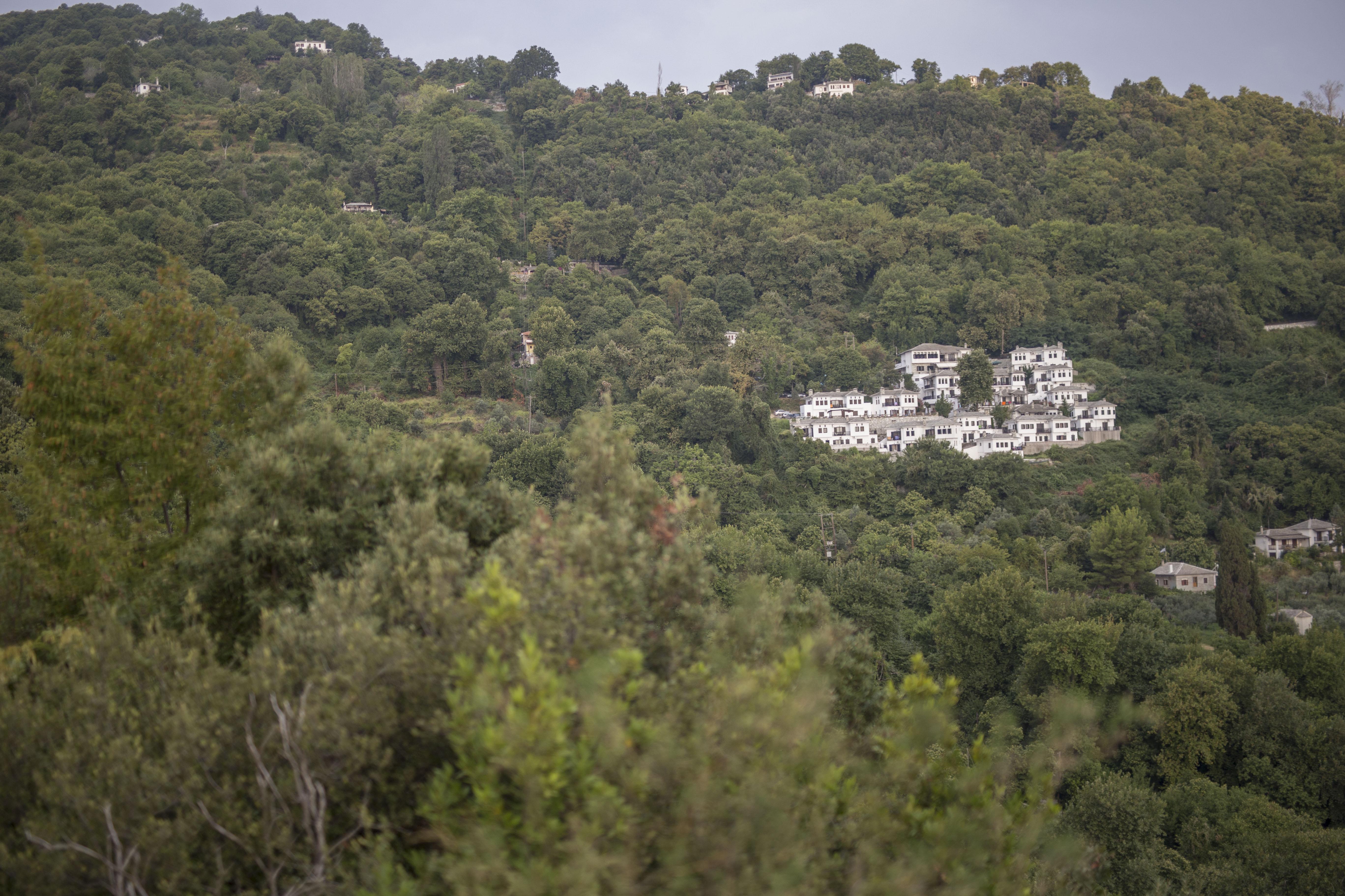 Pilio Sea Horizon Hotel Tsagkarada Dış mekan fotoğraf