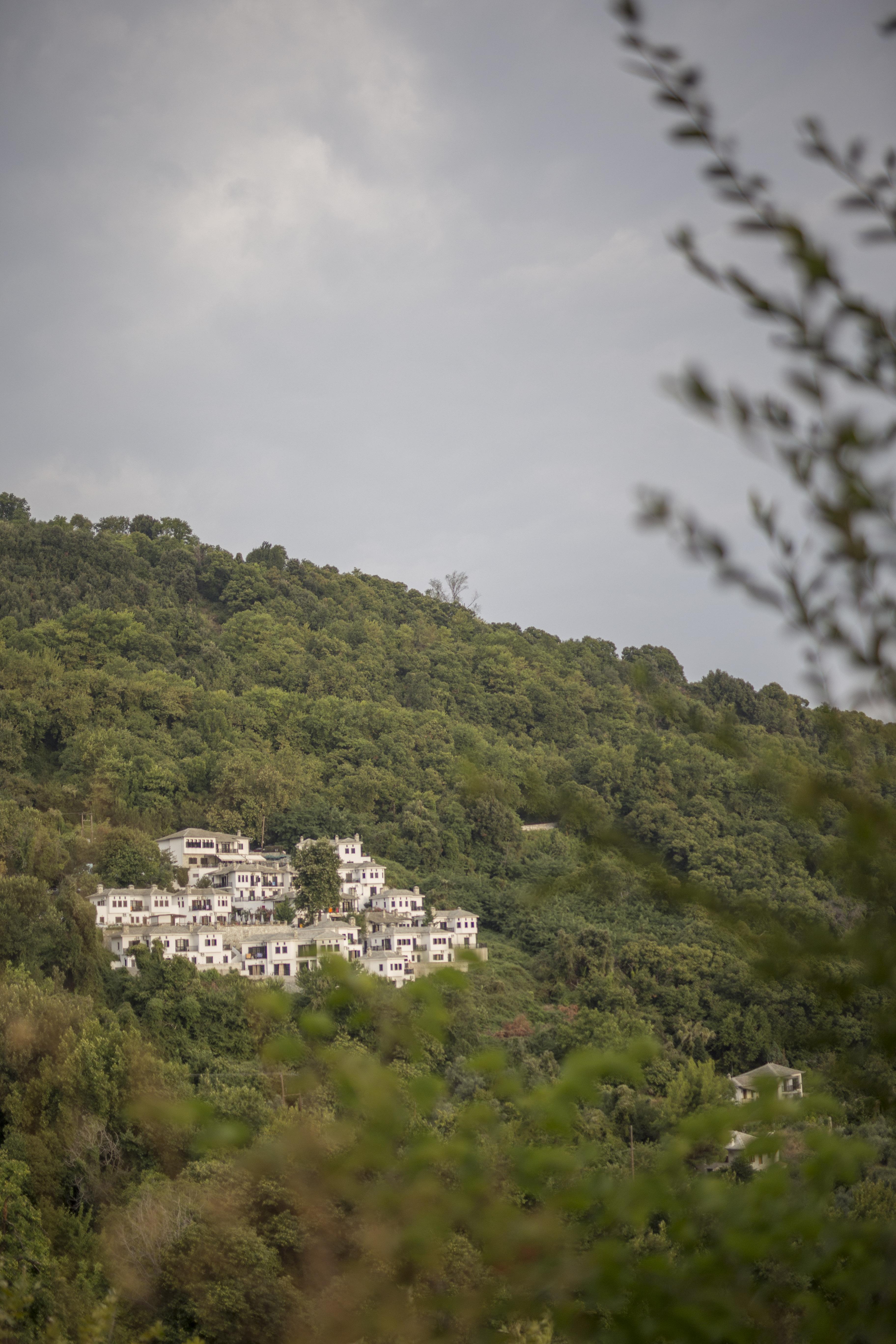 Pilio Sea Horizon Hotel Tsagkarada Dış mekan fotoğraf