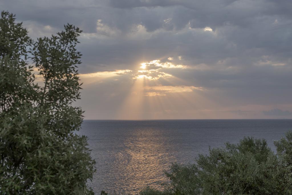 Pilio Sea Horizon Hotel Tsagkarada Dış mekan fotoğraf